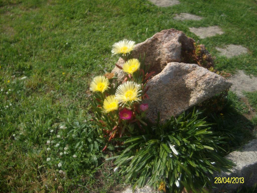 Agriturismo Spridda Bed & Breakfast Arzachena Eksteriør bilde