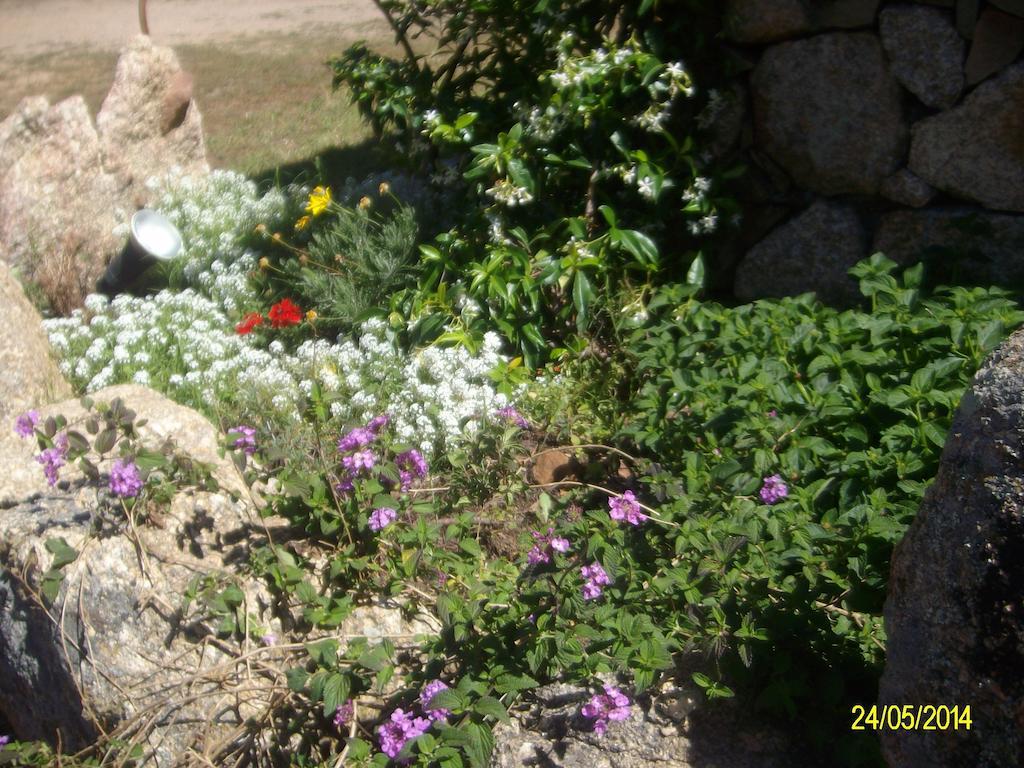 Agriturismo Spridda Bed & Breakfast Arzachena Eksteriør bilde